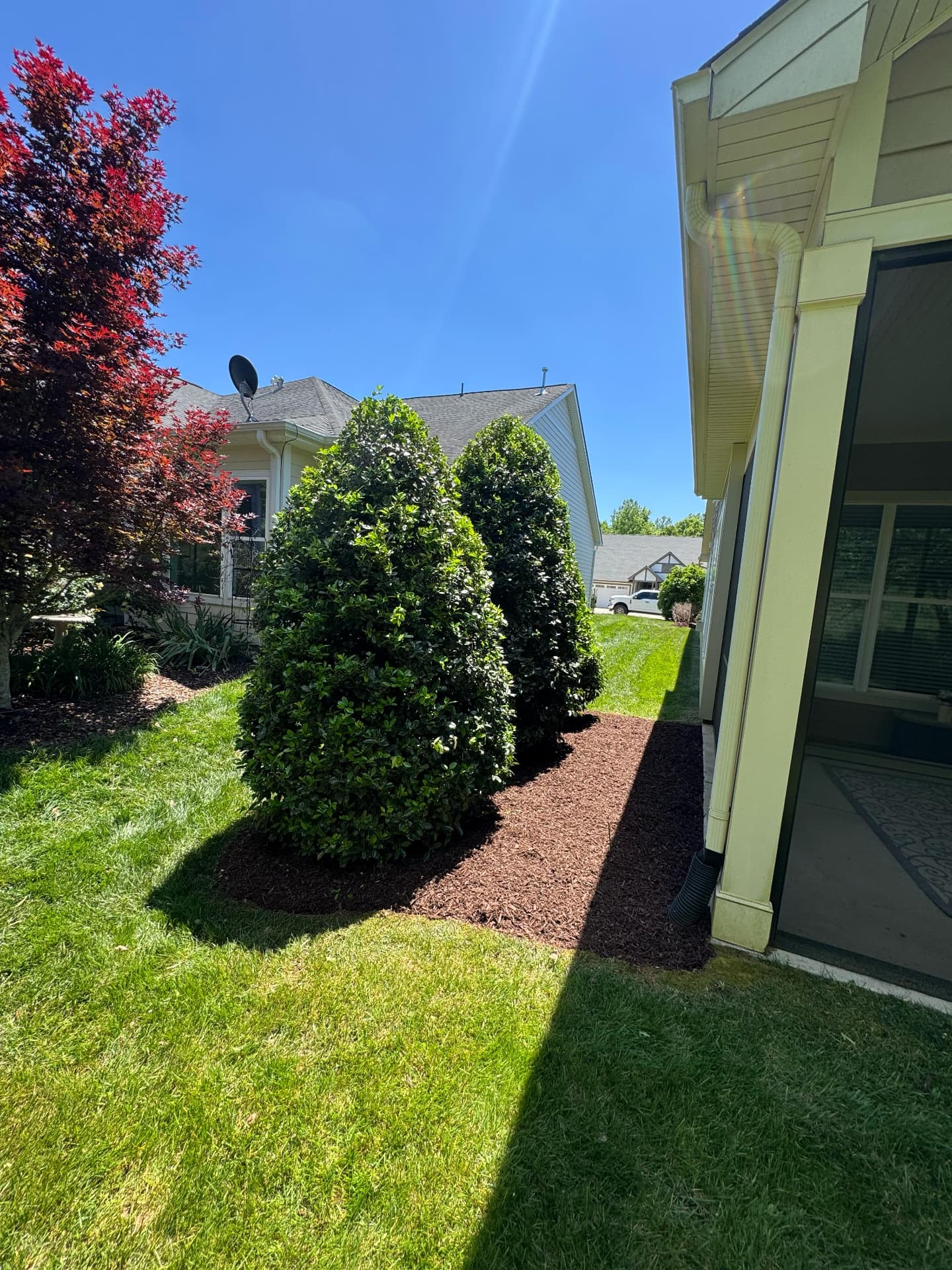 Evergreens in a fresh mulch bed beside a screened porch