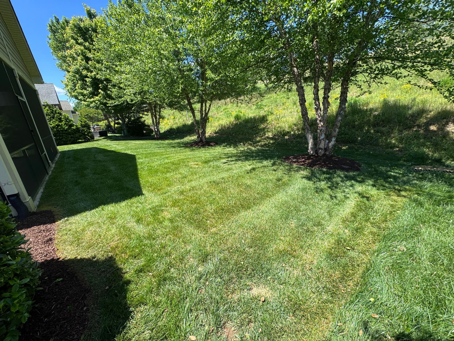 Backyard lawn and mulched tree rings beside a porch