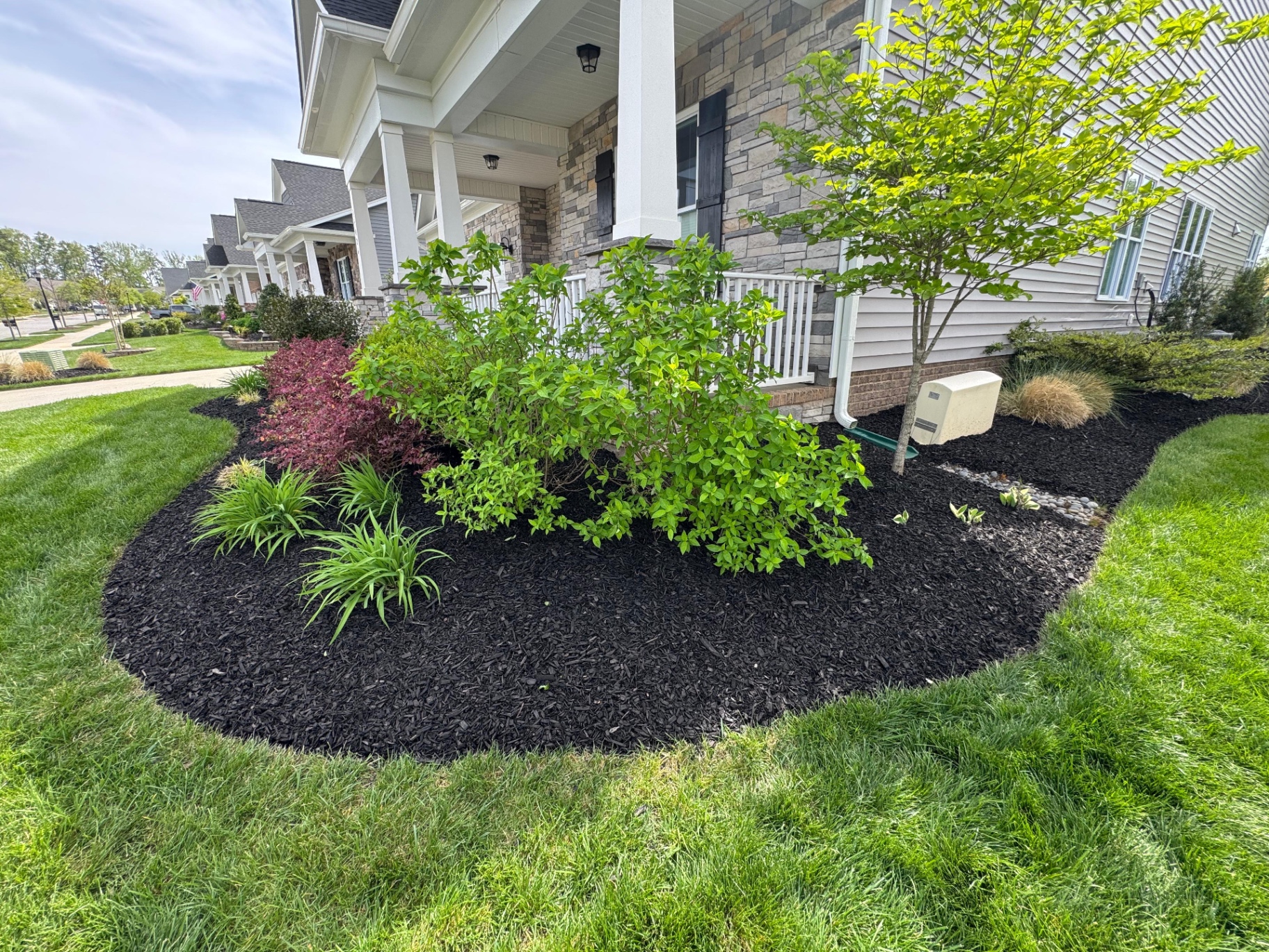Hydrangeas and shrubs beside a front walkway