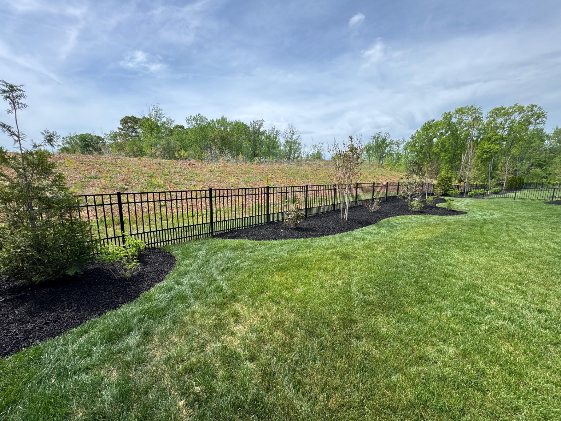 Freshly mulched border along a fence