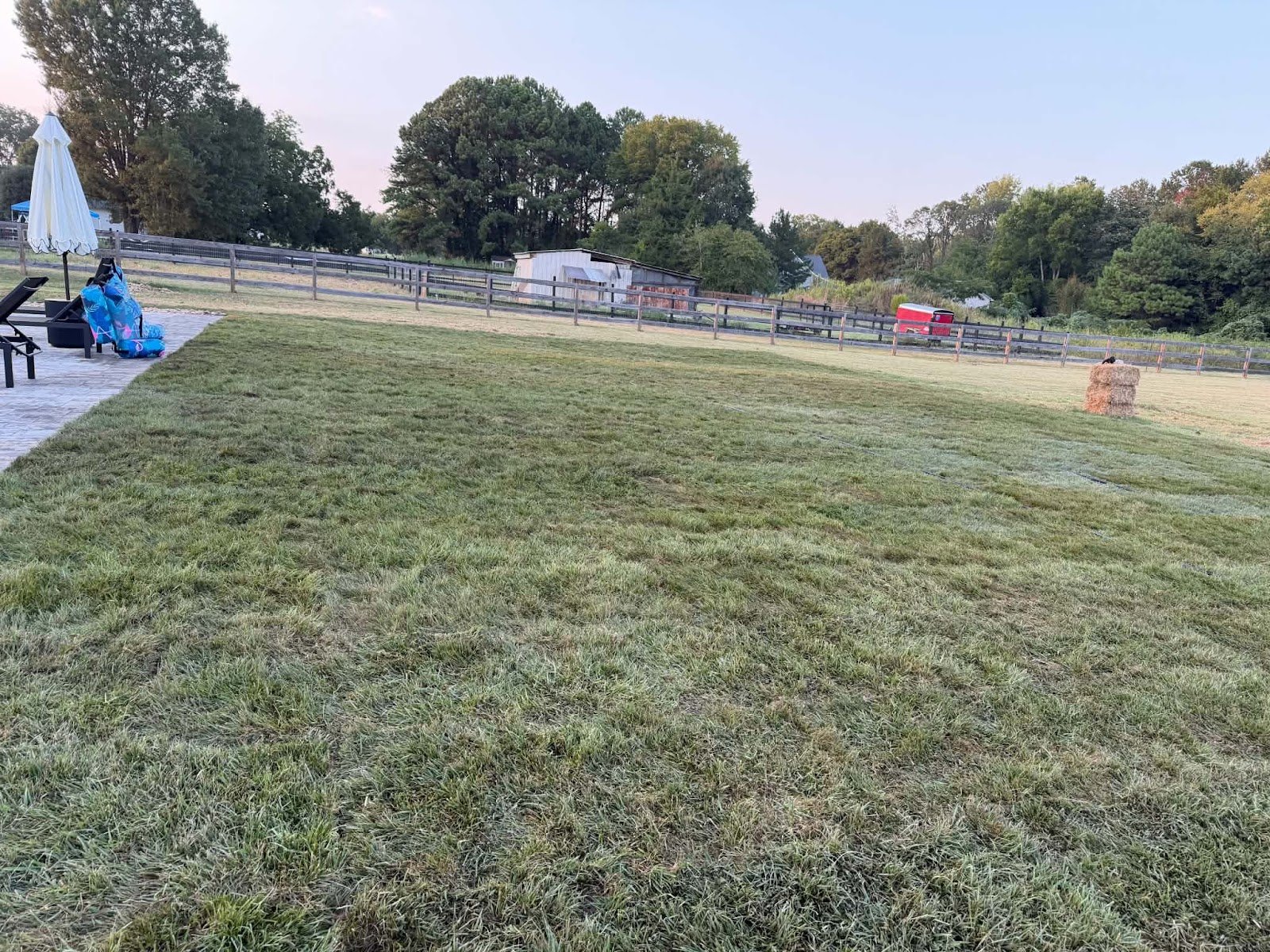 Sod laid beside a new patio