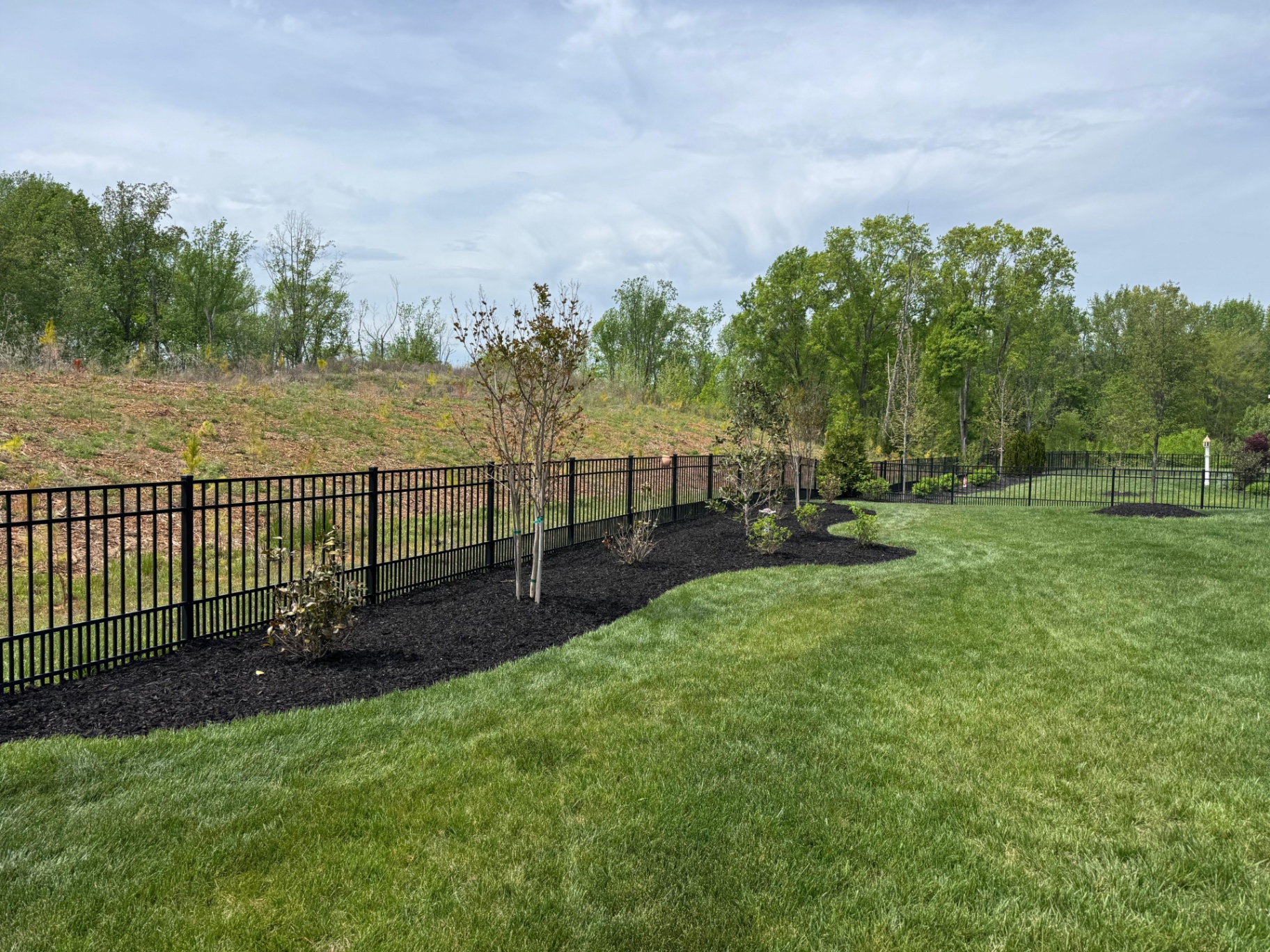 Planted garden border along a backyard fence