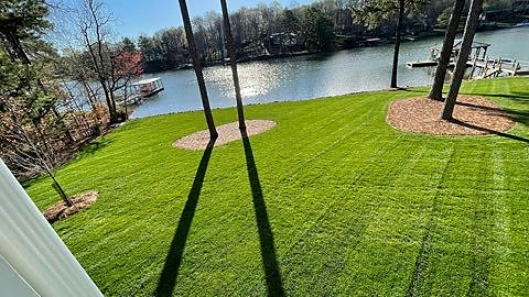 Bright green lakeside lawn with tall trees and freshly cut grass