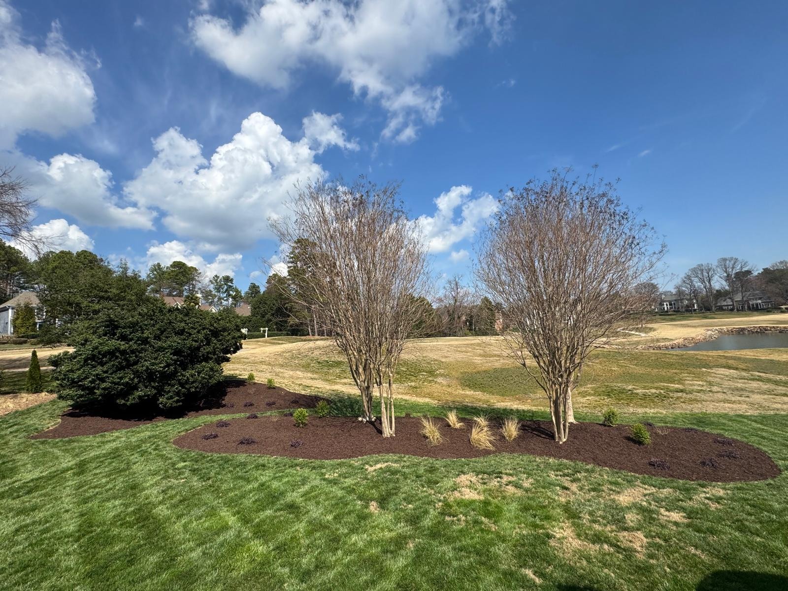 Lawn and freshly mulched ornamental tree beds beside a lake