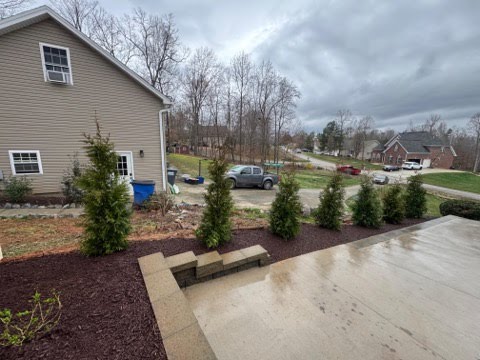 Evergreen shrubs in a mulched driveway border beside stone steps
