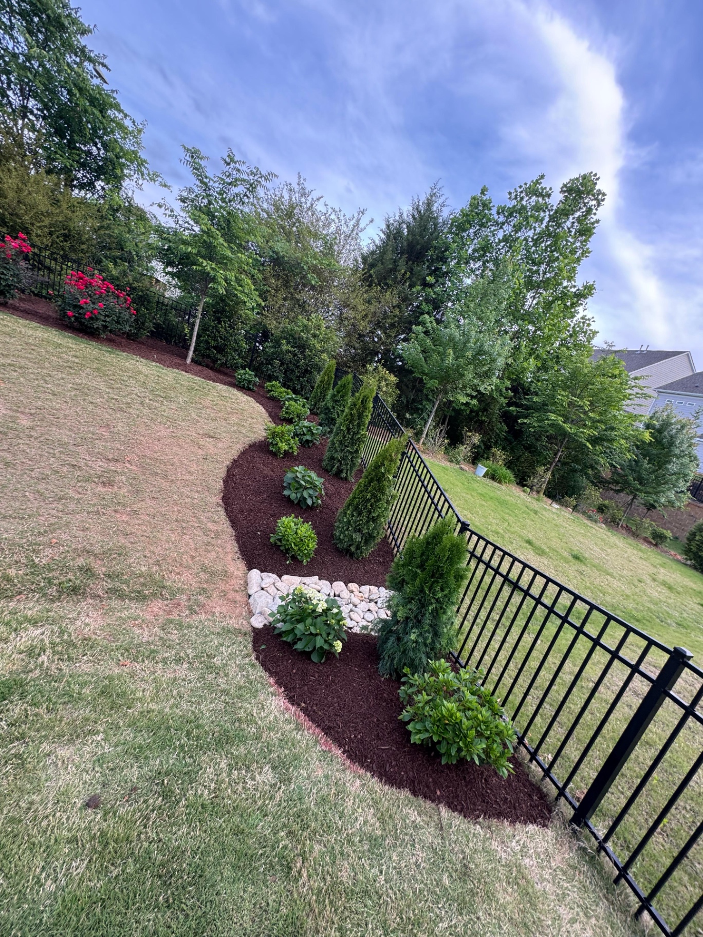 Curved planted border beside a garden fence