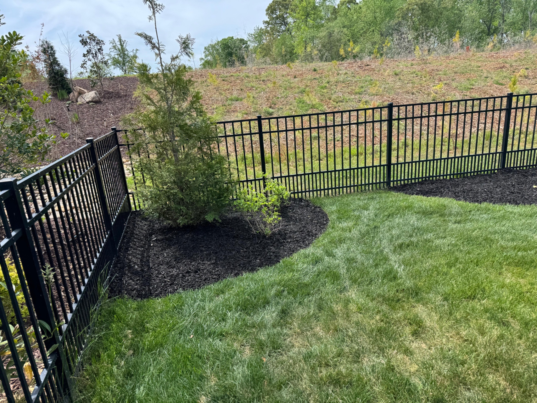 Fresh mulch around a tree beside a fence