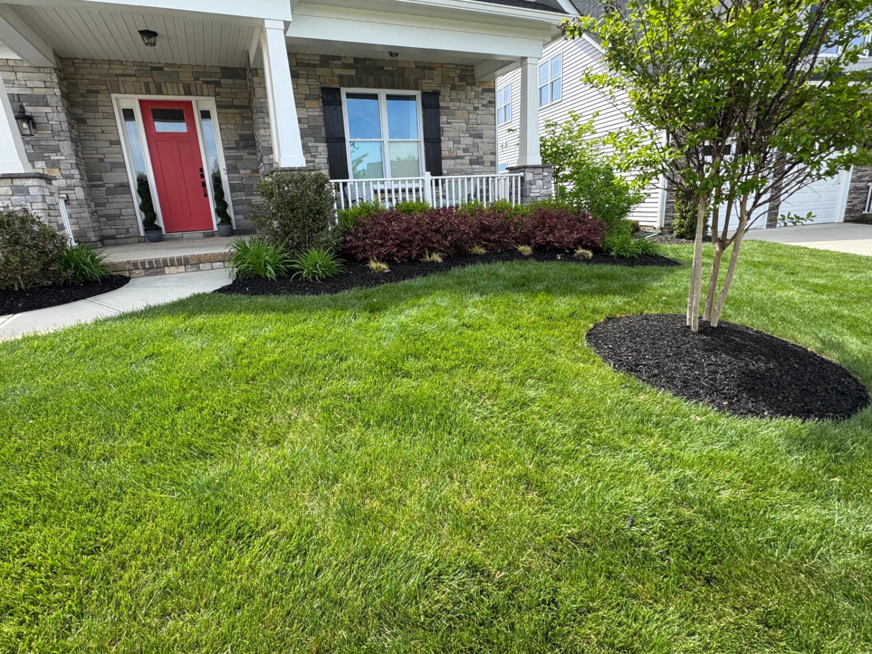 Maintained lawn and front garden at a red-door home