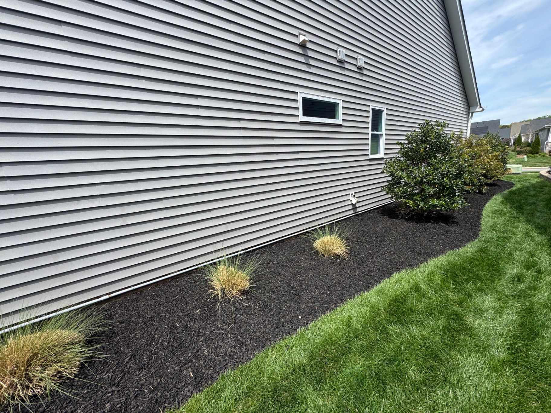 New shrubs in a side garden bed