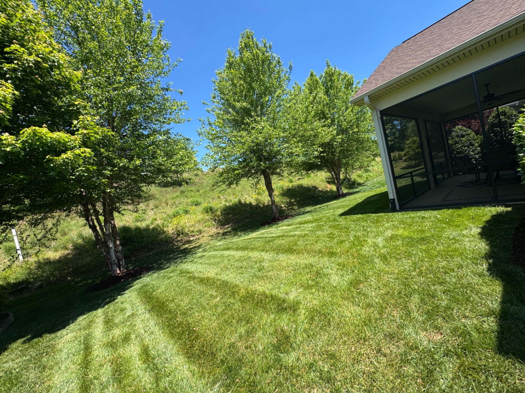 Backyard lawn and mulched trees beside a porch