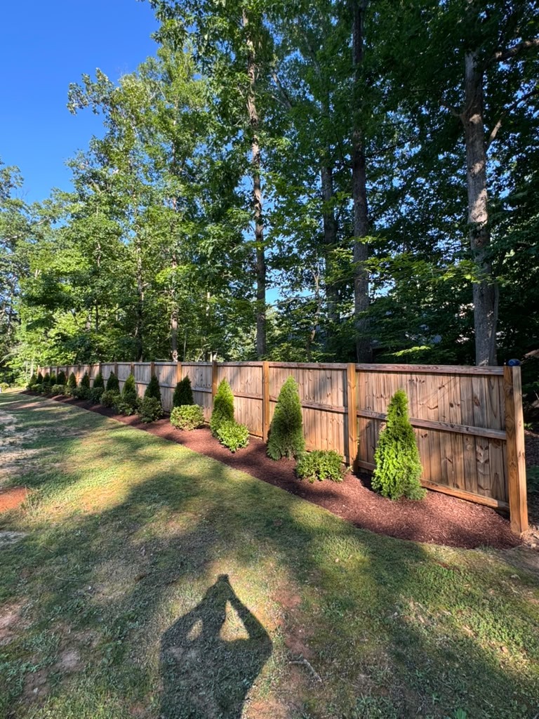 Young shrubs planted along a wooden garden fence