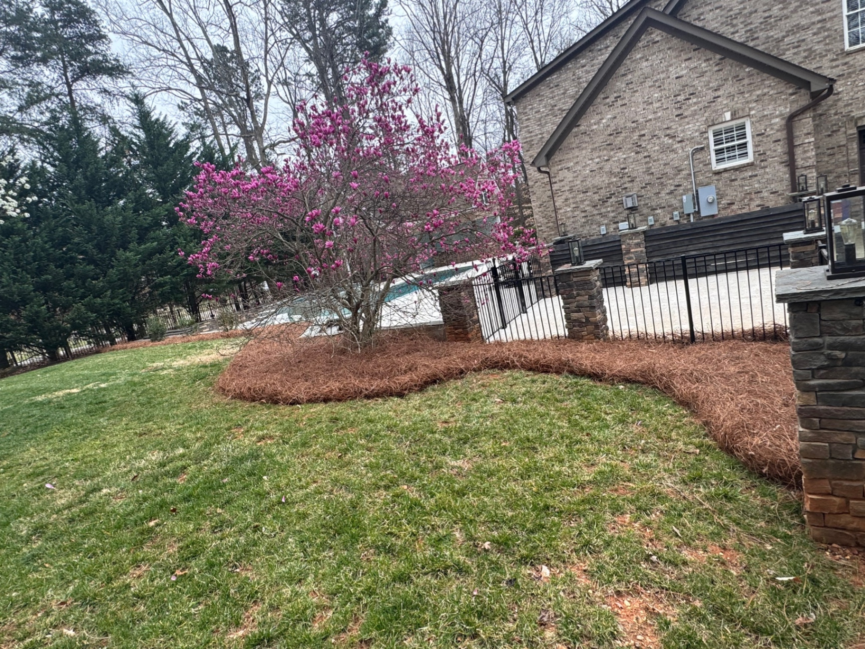 Mulched foundation beds and ornamental trees