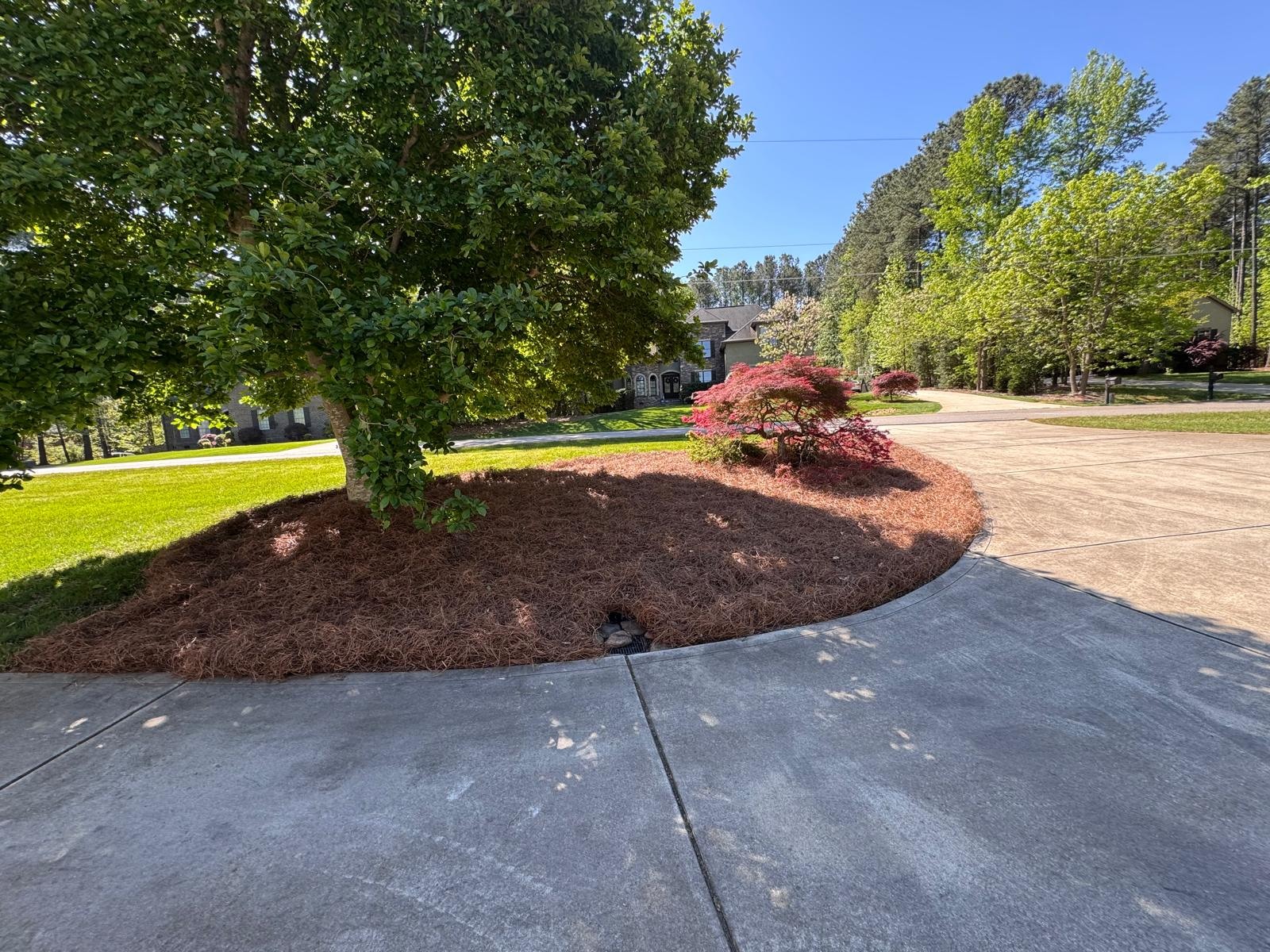 Curved mulched tree bed beside a paved driveway