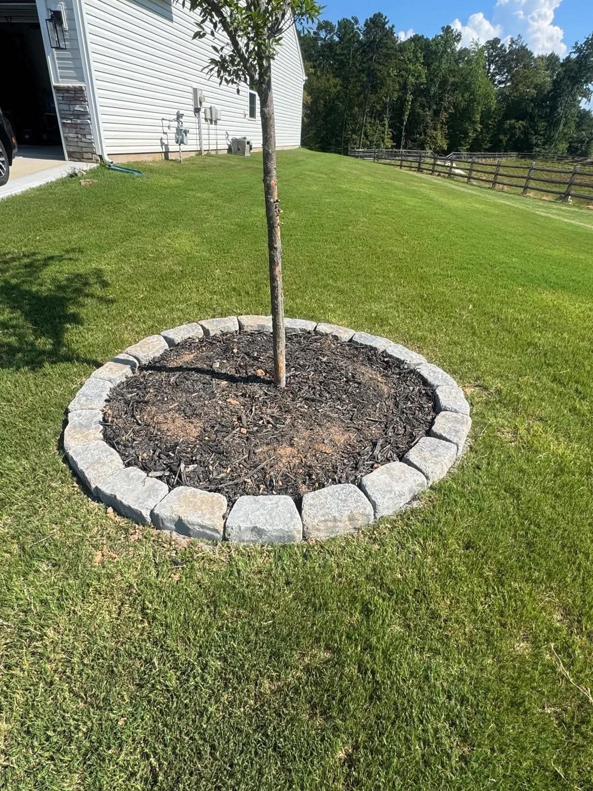 Circular stone border around a young tree
