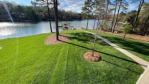 Mowed lakeside lawn beside a curving sidewalk and mulched tree rings