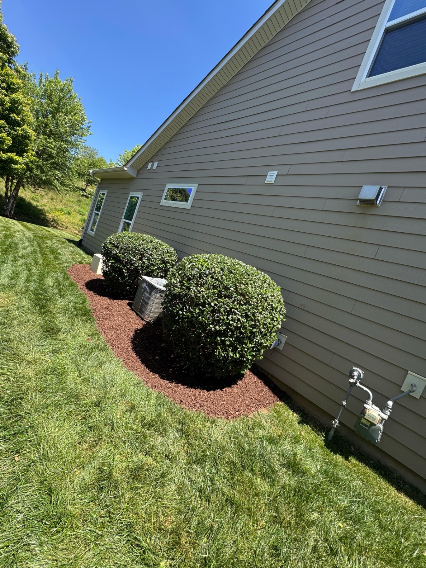 Trimmed shrubs and mulch along a home