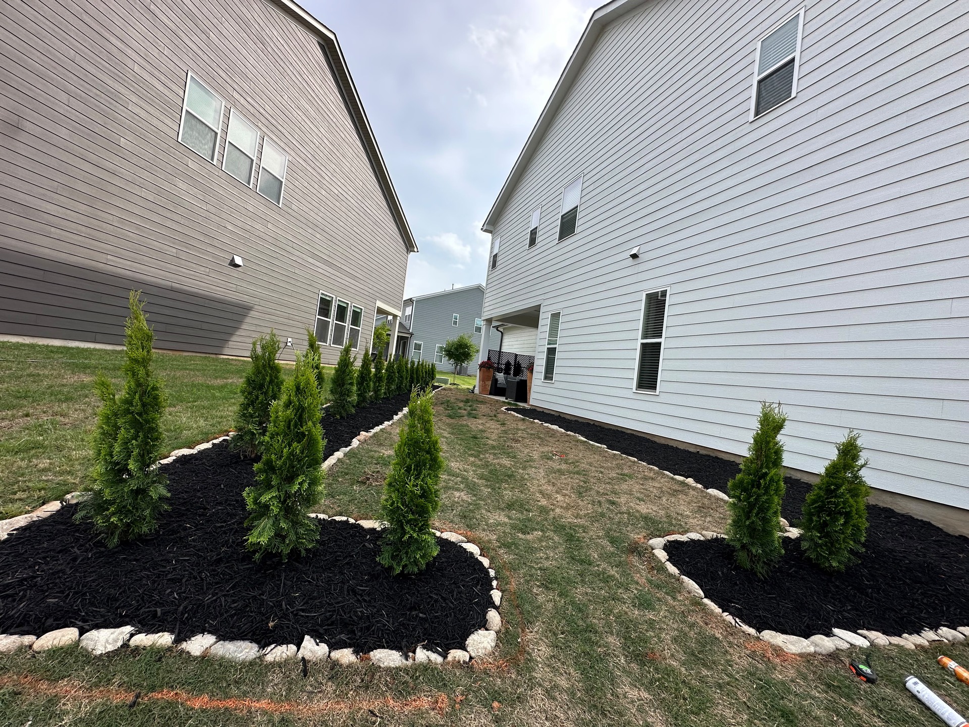 New evergreens in dark mulch beds between two homes