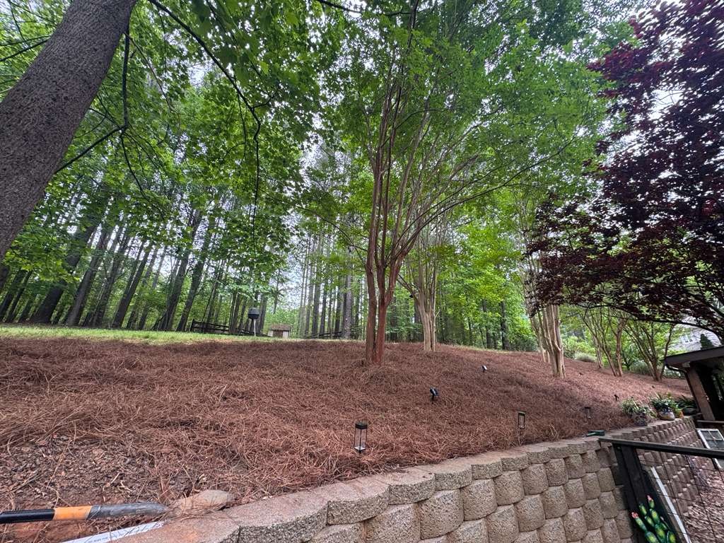 Fresh mulch on a wooded slope above a retaining wall