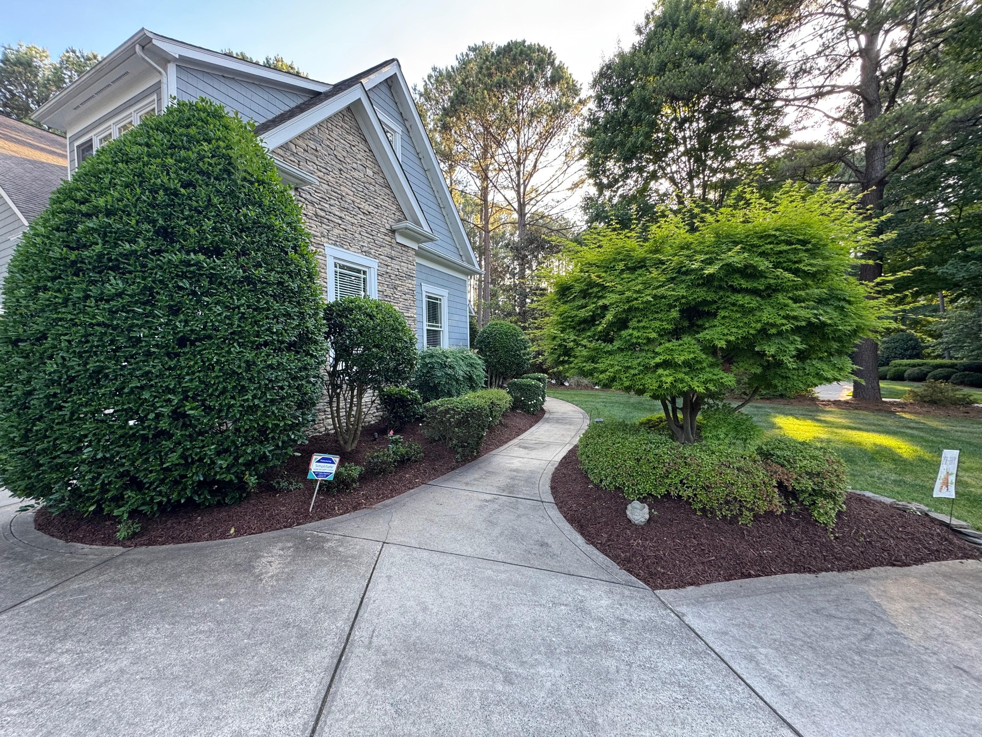 Shaped front shrubs along a curved driveway