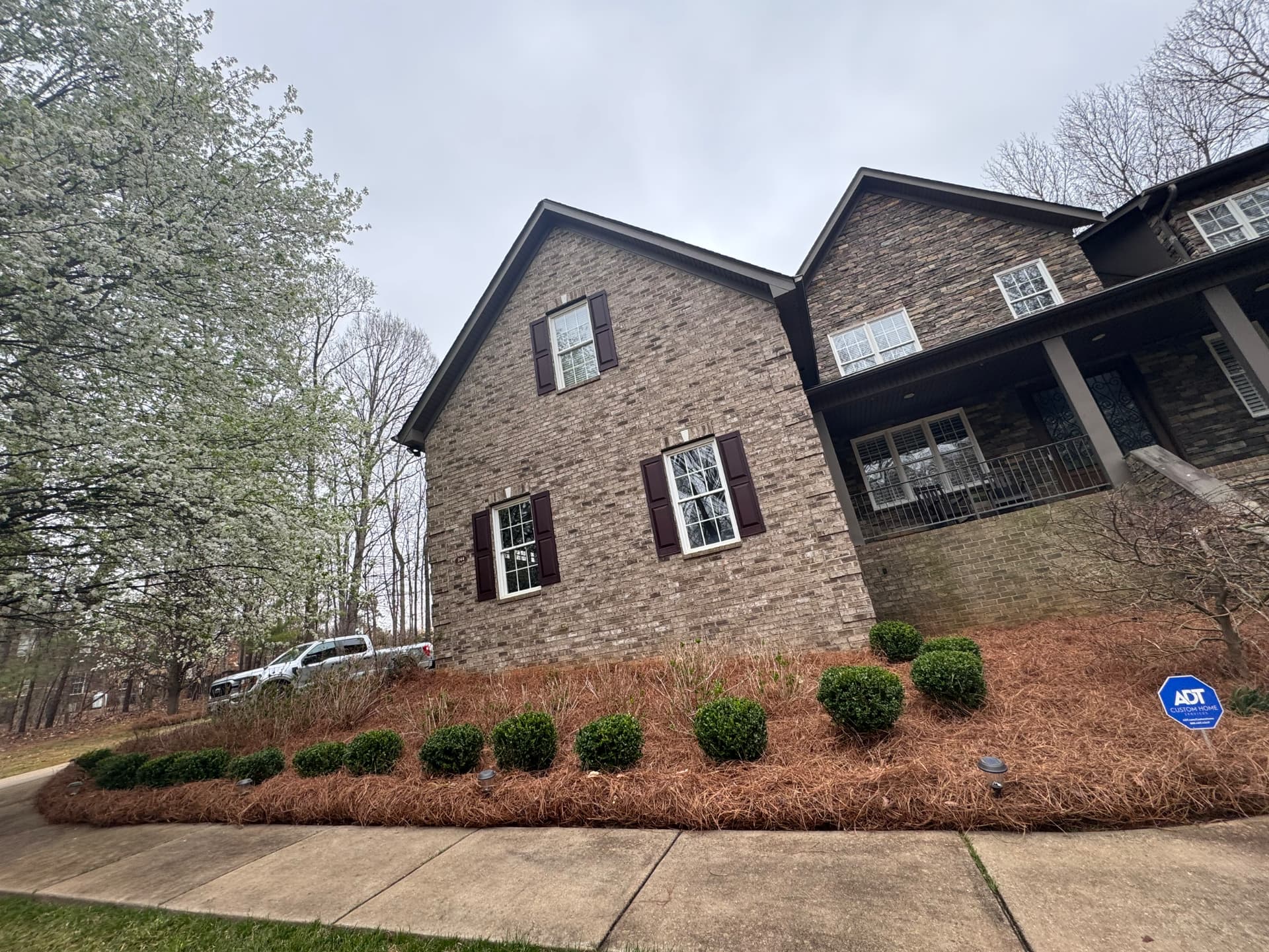 Clipped shrubs in a pine straw bed beside a brick home