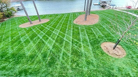 Crosshatched mowing stripes across a lakeside lawn with mulched tree rings